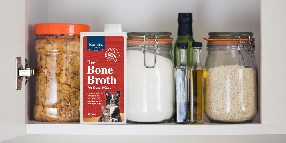 Bone broth for dogs