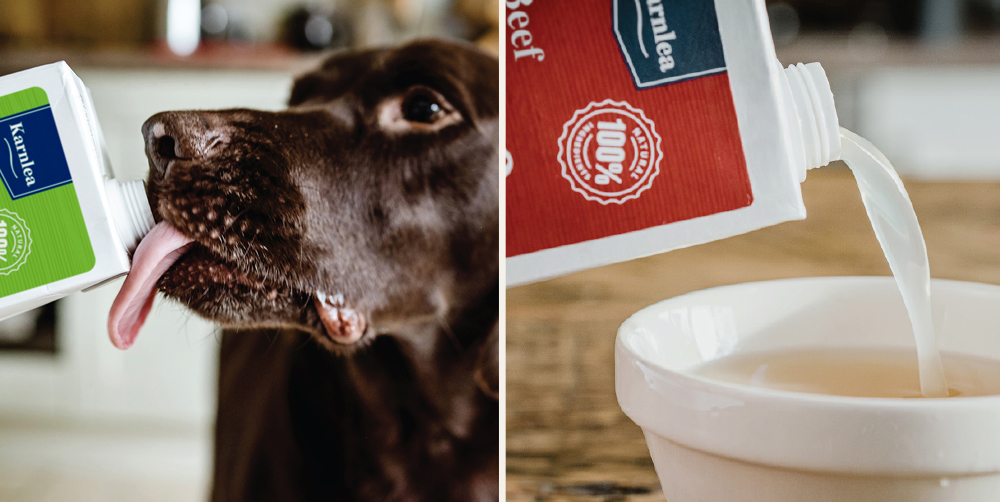 Bone Broth