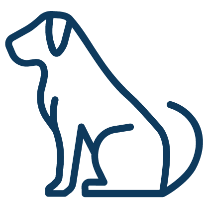 Bone broth for dogs