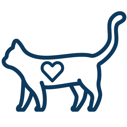 bone broth for cats