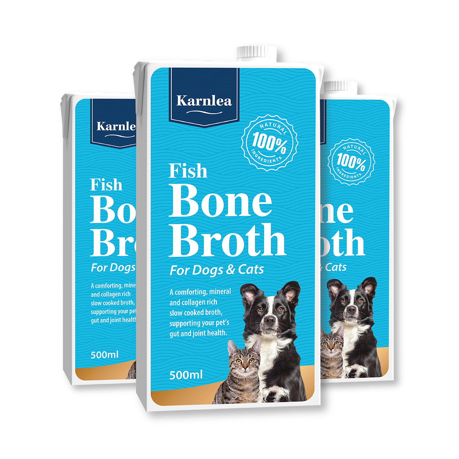 Fish Bone Broth - Image 2