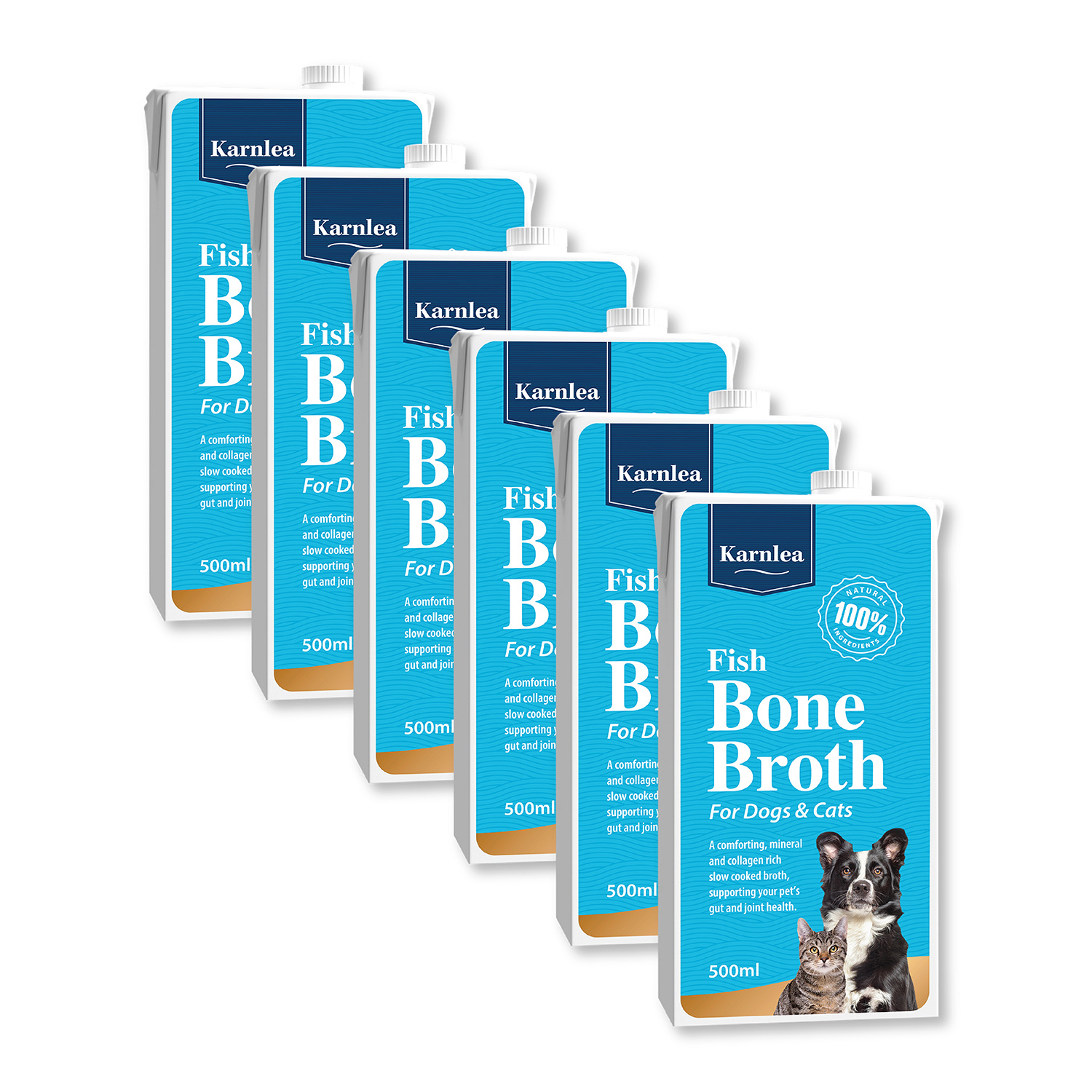 Fish Bone Broth - Image 3