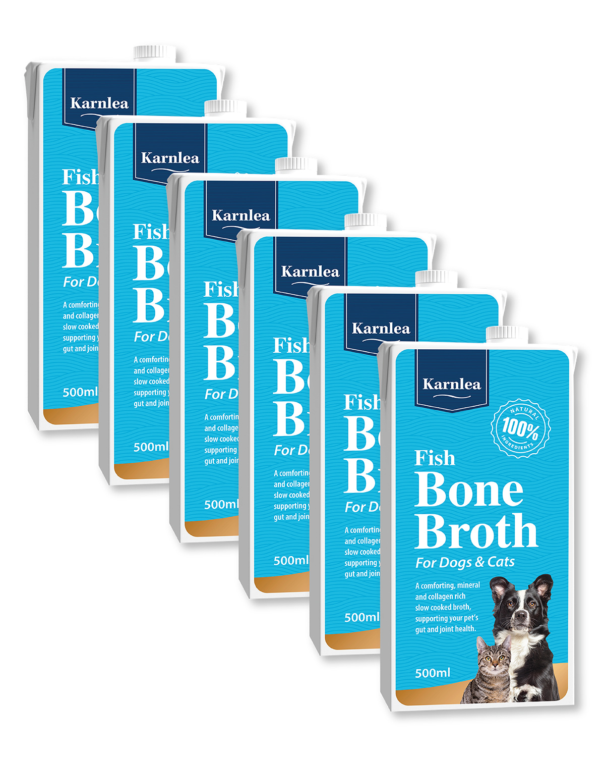 Fish Bone Broth 6 Pack - Karnlea EU