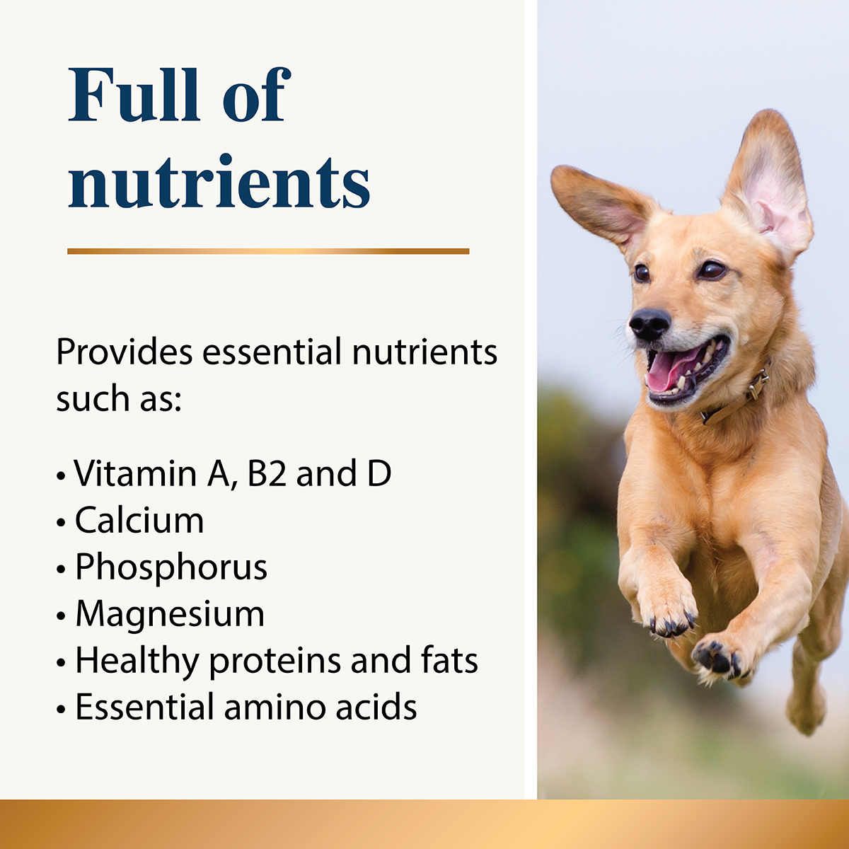 Goat Milk Plus Powder for Dogs & Cats - Image 4