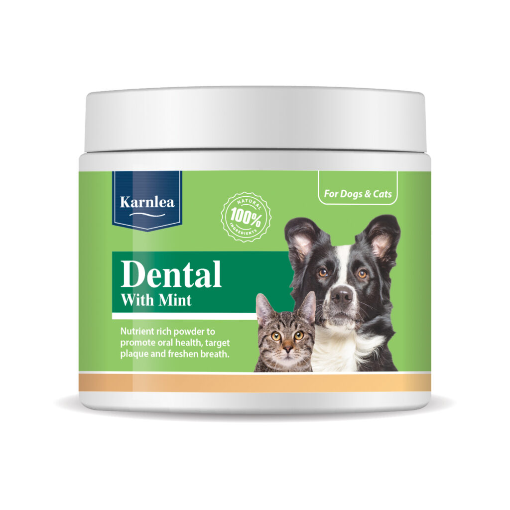 daily dental topper for dogs
